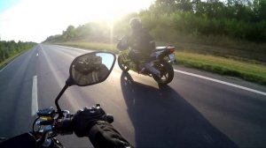 МОТОБУДНИ | Regulmoto Alien Monster 300 Honda CBR 600 F3