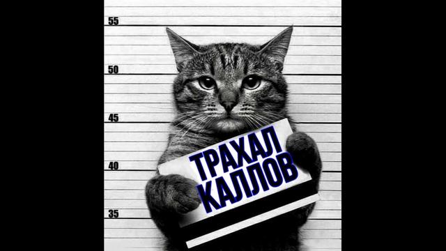 🚨 УГАРНЫЙ РАЗГОВОР С КОЛЛЕКТОРШЕЙ 🚨 смотреть онлайн