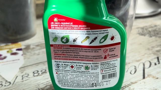 ОРХИДЕИ в красках ОСЕНИ! 🍂Спасённая орхидея Phal. Saporita!