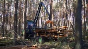 Мини харвестер и форвардер «АМКОДОР»🤘