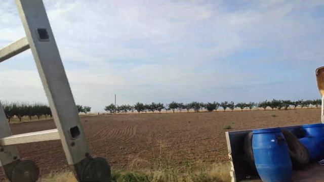 Сборка абрикоса день второй. 