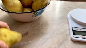 Груша Бартлет.Крупний клон сорту Вільямс літній.