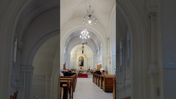 Органный концерт в Соборе Успения Пресвятой Девы Марии, орган Ирина Розанова