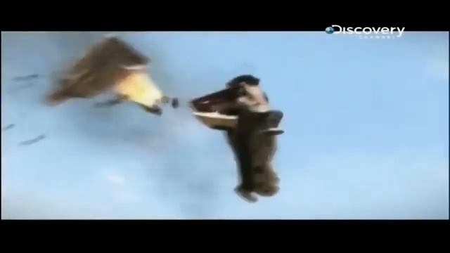 Рекламный      ролик                 Сникерс