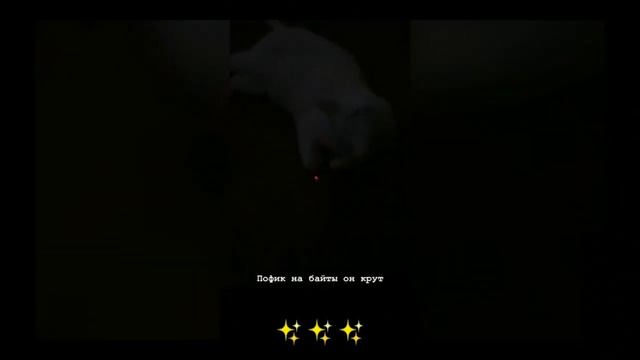 СТОРИС АИДА В ИНСТАГРАМ. НОВЫЕ ФОТО ДАШИ. БОМЖИК АИД.