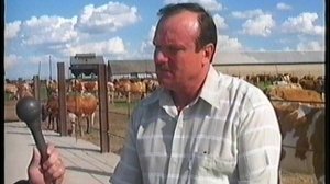 открытие дойке п.Поспелихинский 2004г