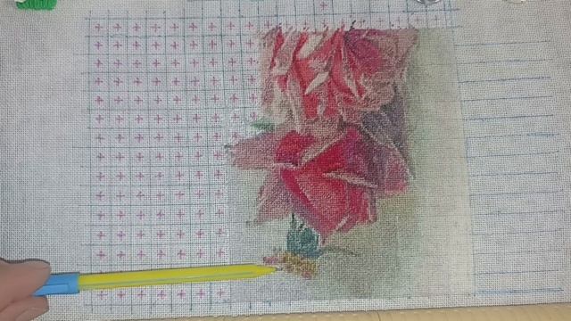 Французские розы/10,66% готовой работы #вышивка #embroidery  #м