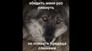 Подборка мемов про волка