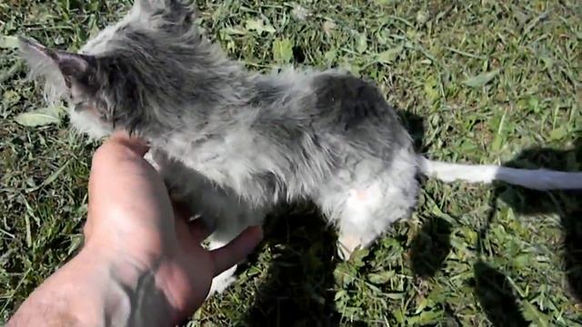 Изменение внешнего вида Пушка. фильм - 60 смотреть онлайн