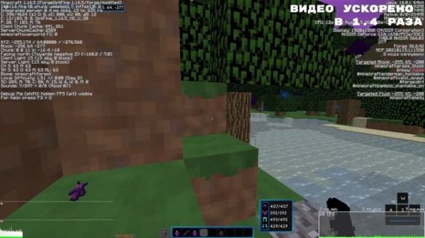 СЛИВ ВИЗУАЛОВ 1.16.5 FORGE | MINECRAFT