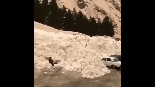 приколы перепутала рычаг ручника с ......... смотреть онлайн