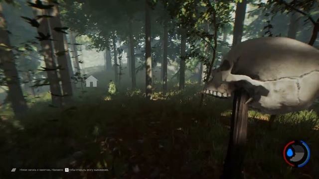 The Forest Второй день выживания смотреть онлайн