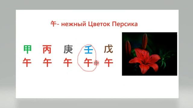 ЦВЕТКИ ПЕРСИКА У 午 - ХАРАКТЕРИСТИКА 18+ смотреть онлайн