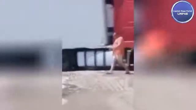 ПРИКОЛЫ 2018 10 минут смеха до слез ржака до слез угар прикол ПРИКОЛЮХА #4 смотреть онлайн