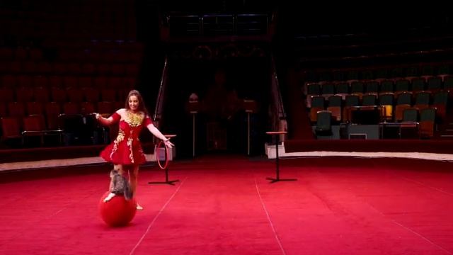 Артистка Цирка-Мария Анисимова / Номер с кошками / Circus Artist - Maria Anisimova / Show With Cats