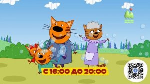 Три кота [розыгрыш подарков]