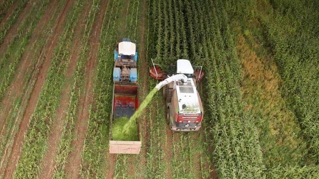Комбайн F 2650 повышает производительность в 3 раза