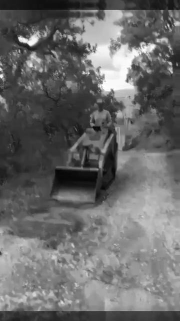 Мини погрузчик, измельчитель пней Kubota Dc-30