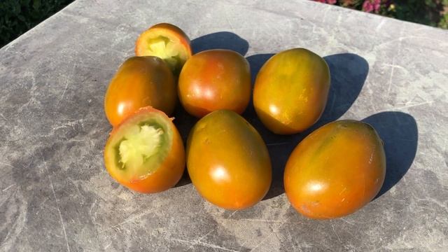 Зеленый мед вкуснее меда. Самый вкусный томат из всех ? смотреть онлайн