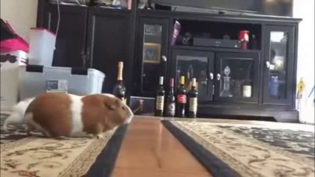 Дикое Битвы в Индийском Кино  -  Подборка Приколов #109