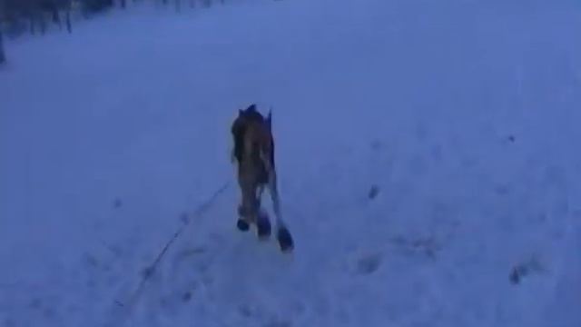 Нам не страшен мороз -40. Мы в сапогах. смотреть онлайн