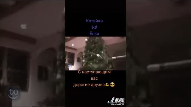 Ёлка Vs коты и собаки приколы