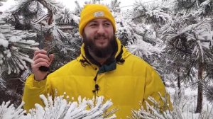 quansheng uv k5(8) отзыв на рацию)