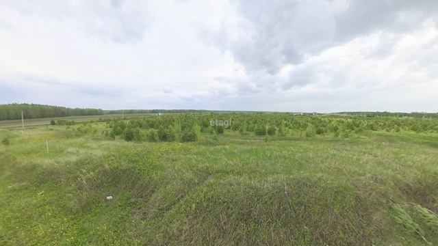4311177 Кулига-2 смотреть онлайн
