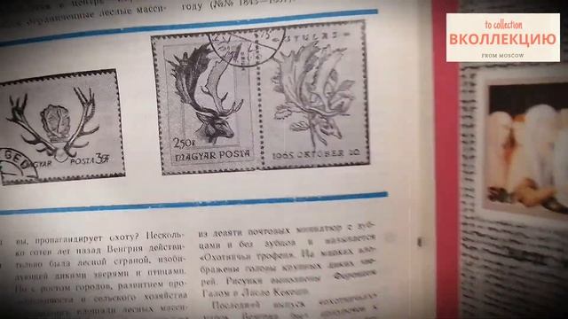 Журнал Филателия СССР №5 май 1973 смотреть онлайн