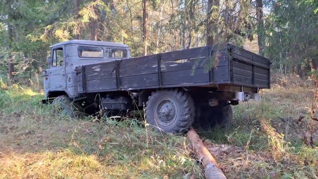 Шишига лучше любого квадроцикла после простоя в 30 лет.