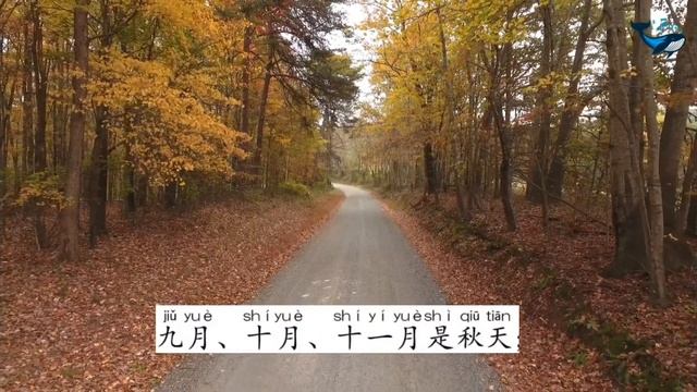 Времена года в Пекине 北京的季节 смотреть онлайн