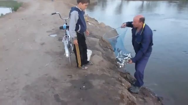 Смешные видео Приколы Хотел бы и я на такую рыбалку смотреть онлайн