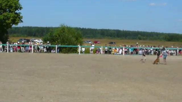 9-й Бывалинский Православный Фестиваль Кузнечного Искусства, 27 июля 2014 г - 4 смотреть онлайн