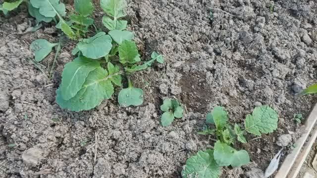 Моя жизнь в Деревне чем занимаюсь сегодня смотреть онлайн