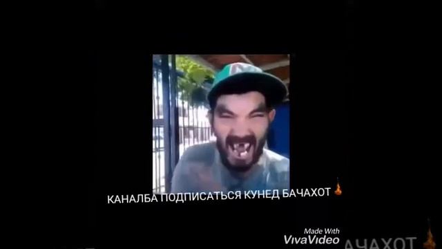 Приколы обезьян пернула на собаке смотреть онлайн