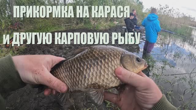 Самая уловистая , рабочая прикормка! Каша на Карася 100% результат.