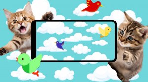 Игры для Кошек: Видео для Хорошего Настроения у Котиков