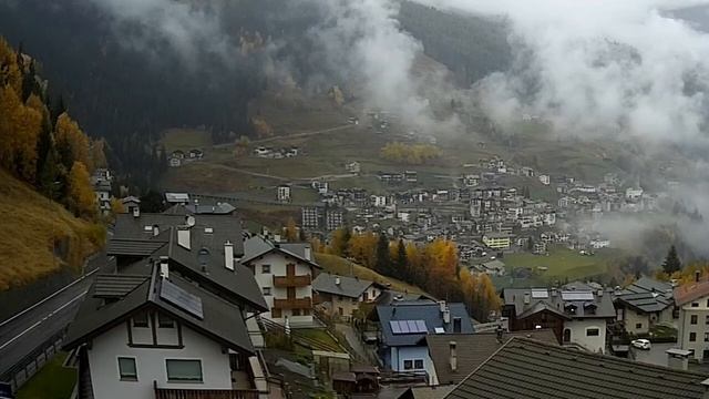 Почему нельзя дарить желтые цветы: что говорят народн?