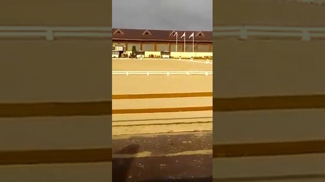 Екатерина Каркавцева - Пагода кюр большого приза смотреть онлайн