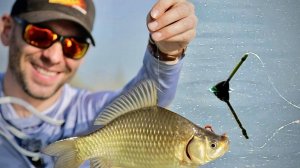 Весенний карась на ПОПЛАВОК! Сколько стоит?! И как обманывают на Маркет Плейсах….