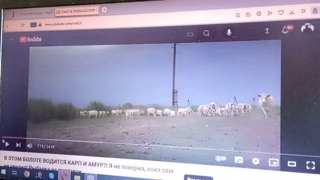 Как изменить скорость просмотра видео? (Быстрее или ме смотреть онлайн