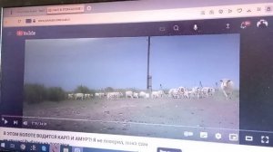 Как изменить скорость просмотра видео? (Быстрее или ме