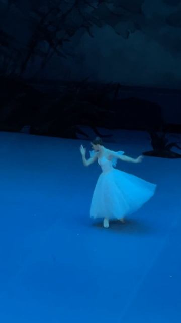 “Жизель» Элеонора Севенард 17.01.24 #bolshoitheatre #balet #balerina #classicalballet #gizelle смотреть онлайн