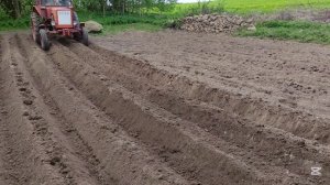 Нарезка борозд под картошку Т-25 трактором