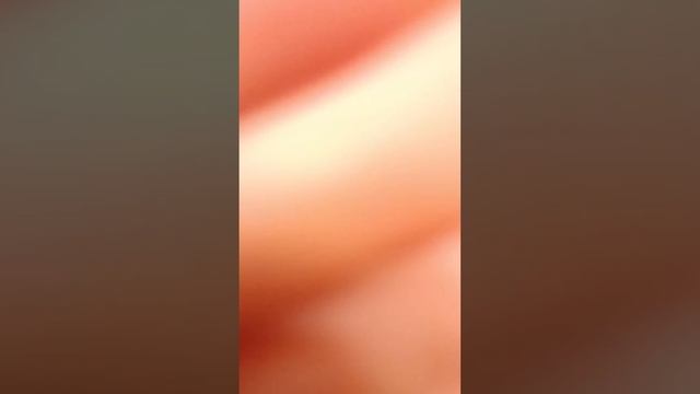 что будет если побрить хомяка? #top #животные #катинтеремок #любовь #преданность #прикол #хомяк смотреть онлайн