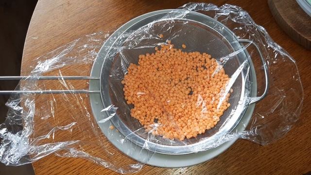 Самый простой способ. Как прорастить чечевицу смотреть онлайн