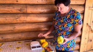 ОТЗЫВ ПЕРЕЦ СЛАДКИЙ МЕГАТОН ОРАНЖЕВЫЙ 2024 г.