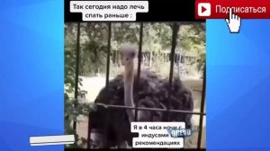 Дебилы 100 Уровня/Дебилы 80 уровня/ Приколы/ Угар/ 2020 №5