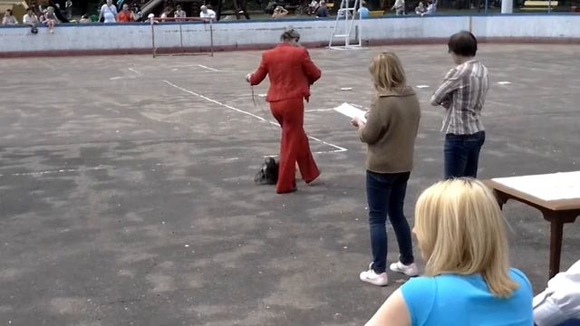 Жемчужина Клязьмы Айра (Шармэль) Выставка 25/05/13 "Осирис" г.Серпухов смотреть онлайн