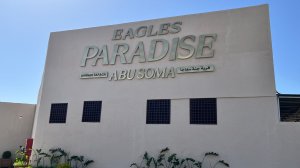 Отель Eagles Paradise Abu Soma Resort 4* Сома-Бей Египет в мае 2025. Не реклама